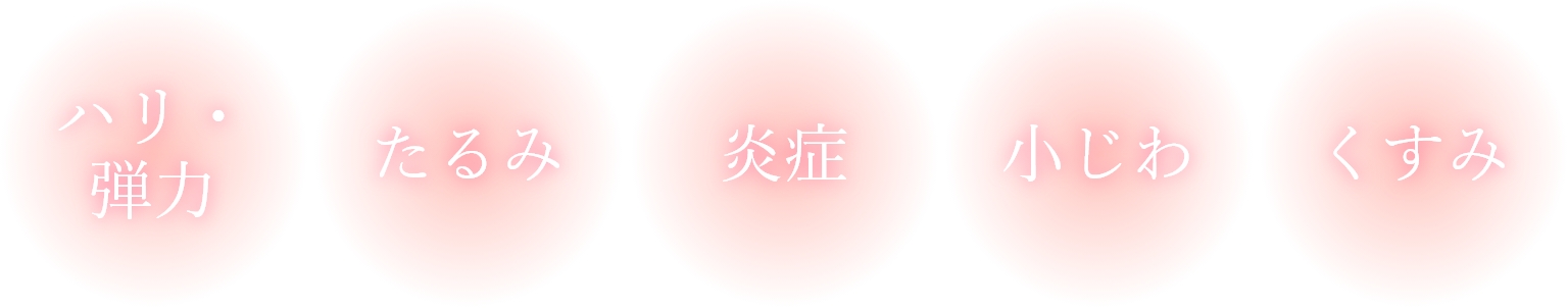 サイトプロ MD
