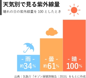 ソルプロプリュスホワイト