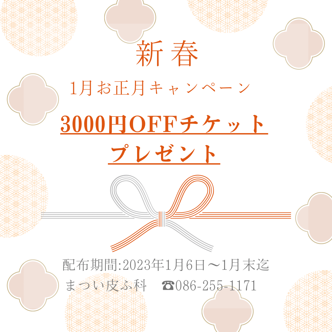 1月お正月キャンペーンのお知らせです♪